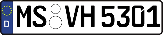 MS-VH5301