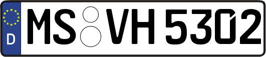 MS-VH5302