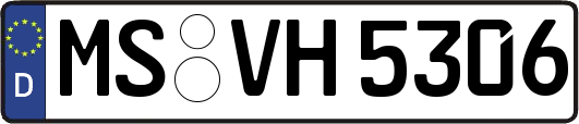 MS-VH5306