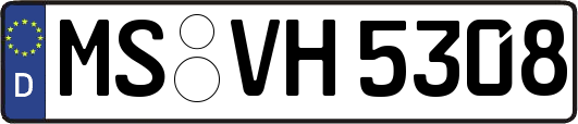 MS-VH5308
