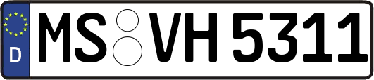 MS-VH5311