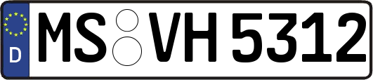 MS-VH5312