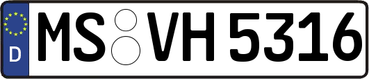 MS-VH5316