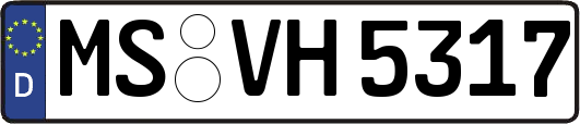 MS-VH5317