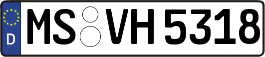 MS-VH5318