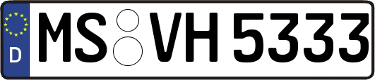 MS-VH5333