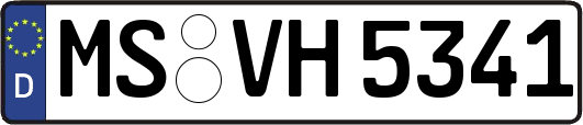 MS-VH5341
