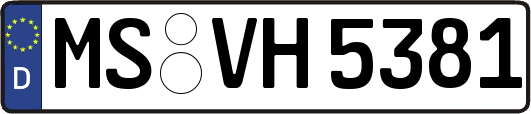 MS-VH5381