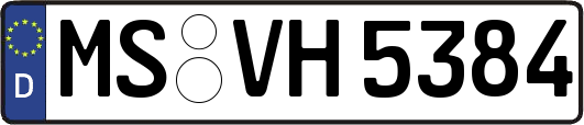 MS-VH5384