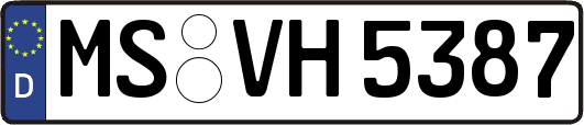 MS-VH5387