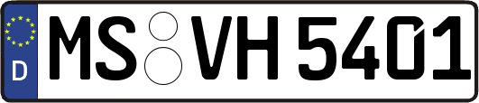 MS-VH5401