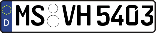 MS-VH5403