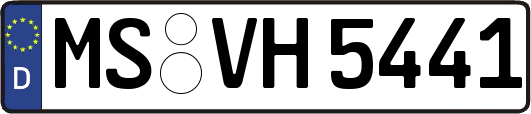 MS-VH5441