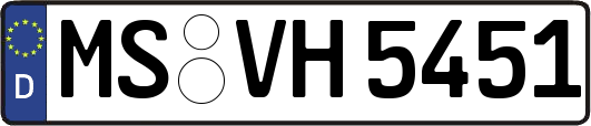 MS-VH5451