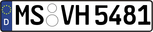 MS-VH5481