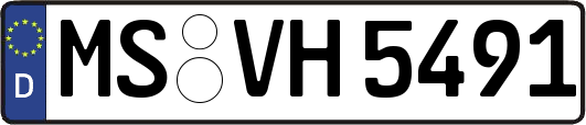 MS-VH5491