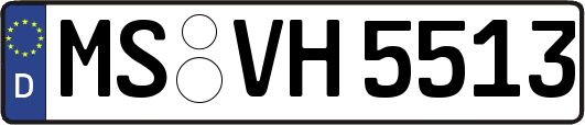 MS-VH5513