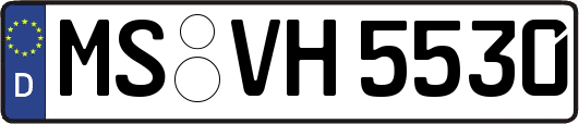 MS-VH5530