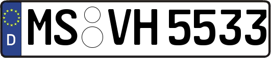MS-VH5533
