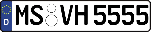 MS-VH5555