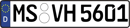 MS-VH5601