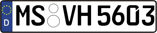 MS-VH5603