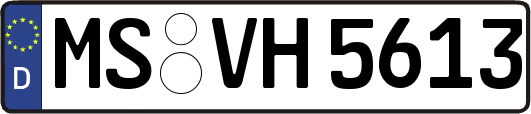 MS-VH5613