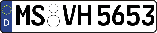 MS-VH5653