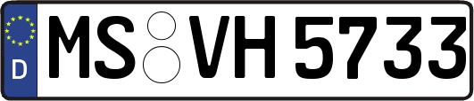 MS-VH5733