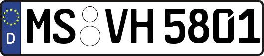MS-VH5801