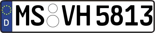 MS-VH5813