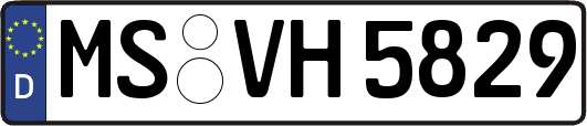 MS-VH5829
