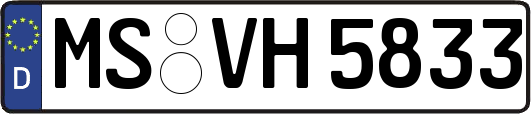 MS-VH5833