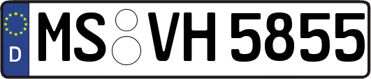 MS-VH5855