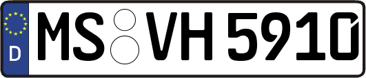 MS-VH5910
