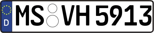 MS-VH5913