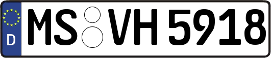 MS-VH5918