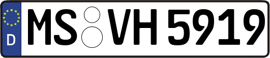 MS-VH5919