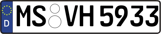 MS-VH5933