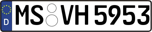 MS-VH5953