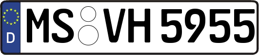 MS-VH5955