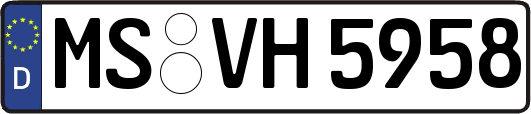MS-VH5958
