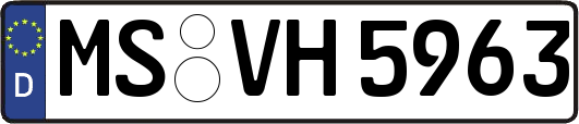 MS-VH5963