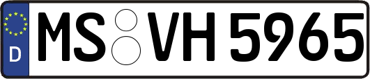 MS-VH5965