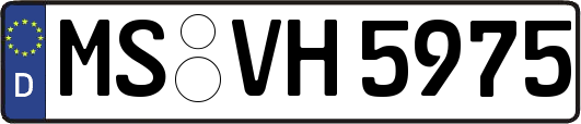 MS-VH5975
