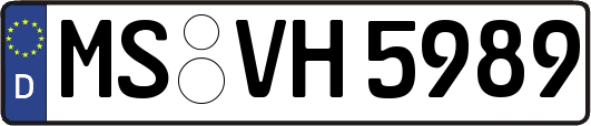 MS-VH5989