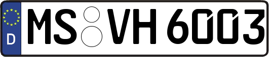 MS-VH6003