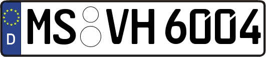 MS-VH6004