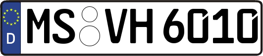MS-VH6010