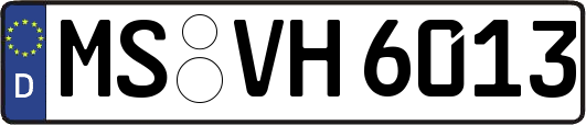 MS-VH6013